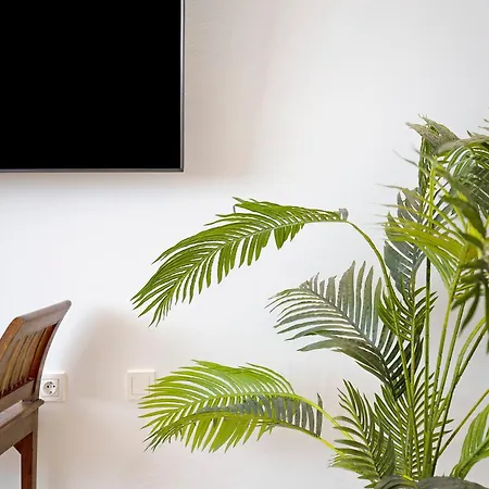 Apartamento Falco 2 *